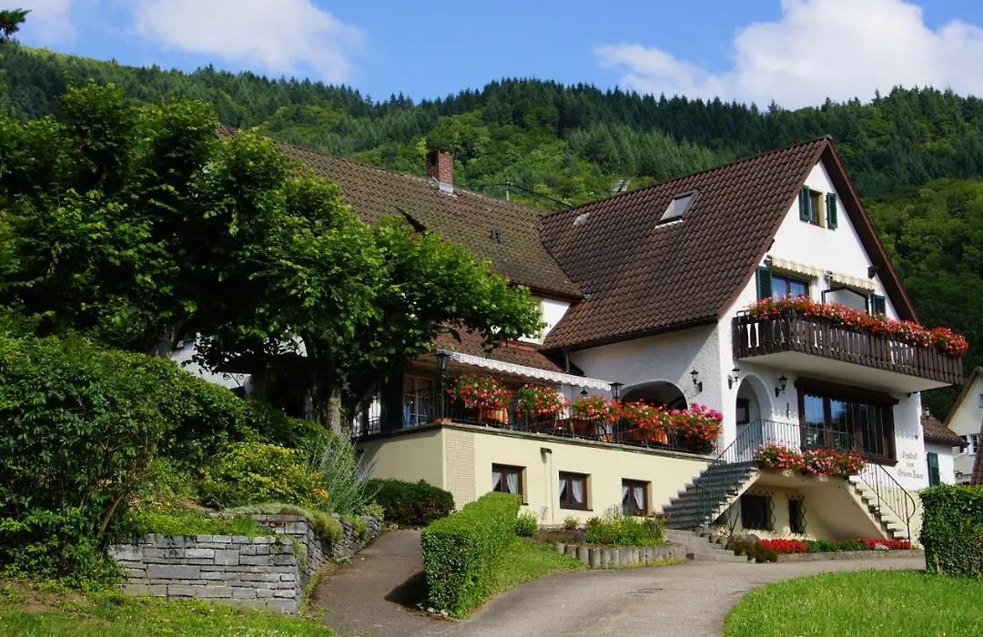 Landgasthof Gruener Baum-1