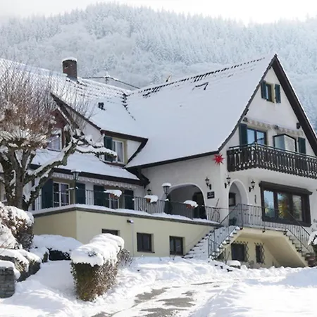 Landgasthof Gruener Baum-2